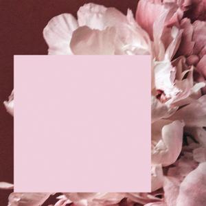 pastel