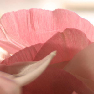 新版自我介绍卡点