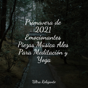 Amanecer en La Arenosa Playa