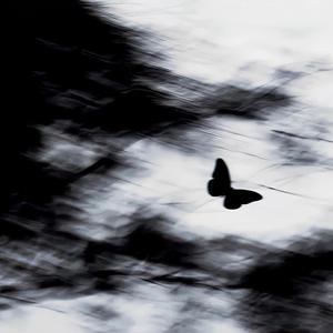 flycore (slowed)