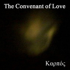 당신을 사랑하는건 삶을 아름답게 해요 violin 독주