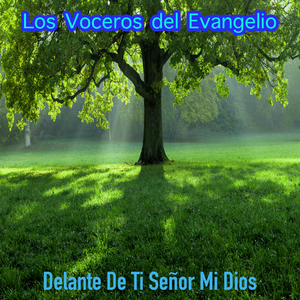 Servidores Sed