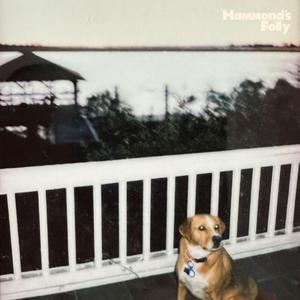 I'm Going Home to Georgia