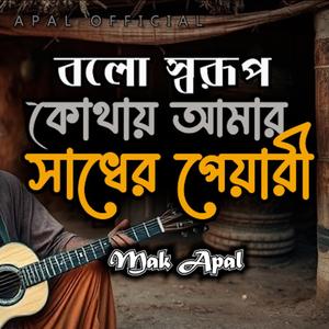 বল স্বরূপ কোথায় আমার সাধের পেয়ারী (Piano Version)