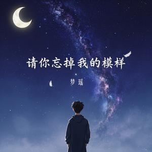 请你忘掉我的模样