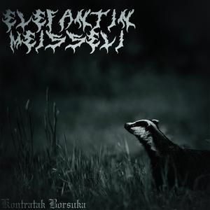 Virtahevolla on erektio