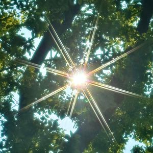 阳光正好，重复平凡的一天也算是幸福吗