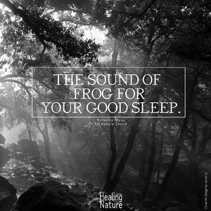 해먹에서의 달콤한 잠을 유도하는 개구리 소리