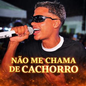 Não Me Chama de Cachorro/ Heitor Santos Ao vivo (Radio Edit)