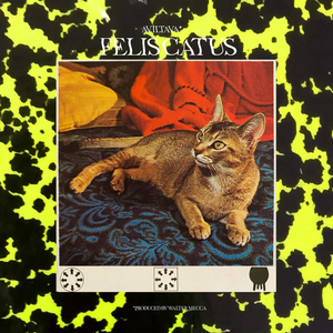 Aviltava - Felis Catus