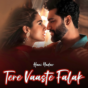 Tere Vaaste