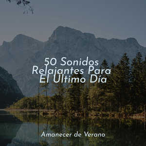 Melodías Ruborizadas al Atardecer