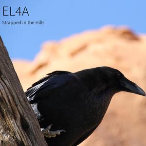 Strapped in the Hills