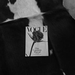 清 醒 和 痛 苦 持 平