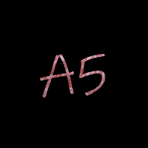 A5