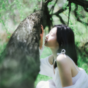 나무에 비밀을 묻어요