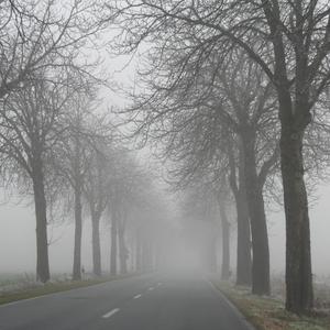 Journey to Be Real