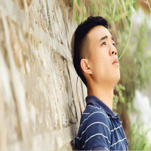 Houdini Dax-Robin Midi（清风徐来 Remix）