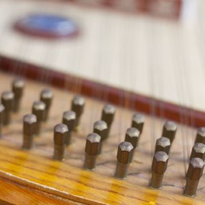 远道闻名 (扬琴+鸟声)