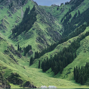 一腔诗意喂了狗