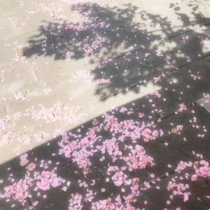 可乐(Prod by BECU BEATZ