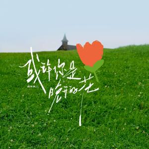 或许你是晚开的花