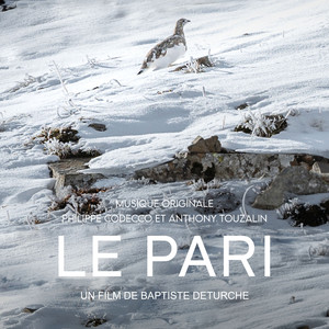 Le tetras lyre
