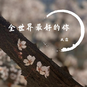 全世界最好的你