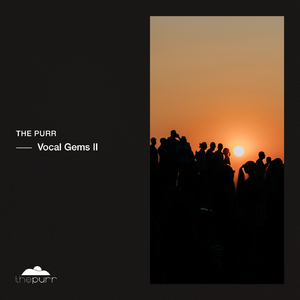 Namaya (Salski Remix)