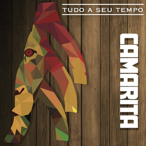 Conexão