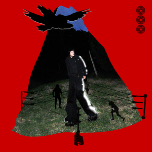 Temporada de Girasoles