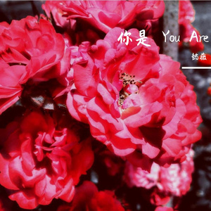 初恋旧爱新欢live