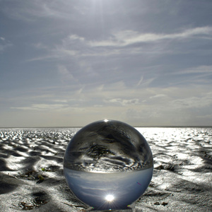 Fågelkvitter och Stillhet