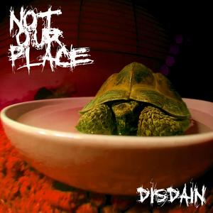 Disdain