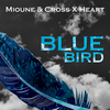 Mioune - Blue Bird