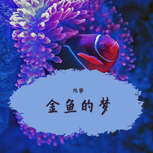 金鱼的梦