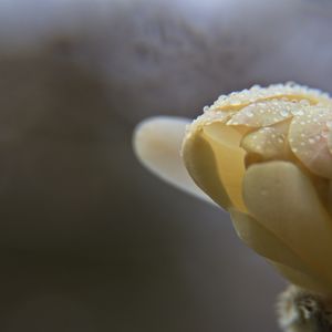 《E8r即兴曲》雨后小憩