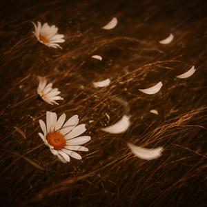 neden bıraktın beni ?