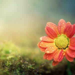 Heart Touching Moments