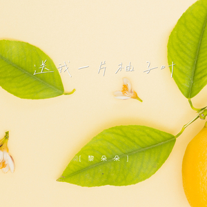 送我一片柚子叶