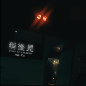 稍後見 (SLOWED) (Remix)