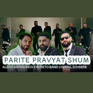 Parite pravyat shum