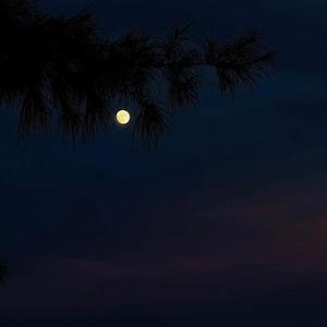 我还能看见什么