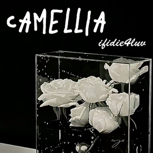 CAMELLIA（prod.Yn1Jasper）