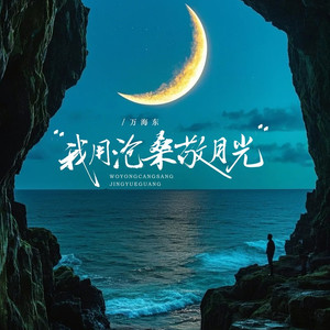 我用沧桑敬月光