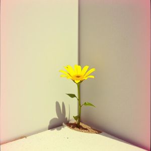 ちゃんとしなきゃはもういらない　それより自分を大切にするを覚えよう