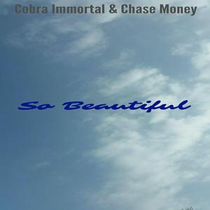 So Beautiful (feat. Cobra Immortal)