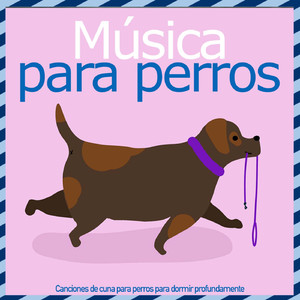 Frotar El Vientre