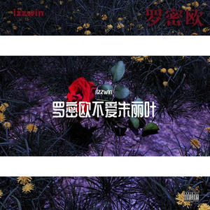 罗密欧不爱朱丽叶