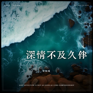 深情不及久伴